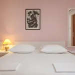 Damir 招待所 3*